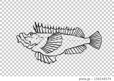 用毛筆繪製的蝎子魚(有毒的海水魚)插圖。 用毛筆繪製的蝎子魚(有毒的海水魚)插圖。 138148574