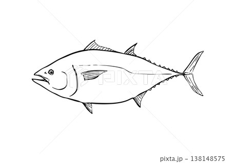 クロマグロのイラスト 筆ペン線画 魚素材 横向き 138148575
