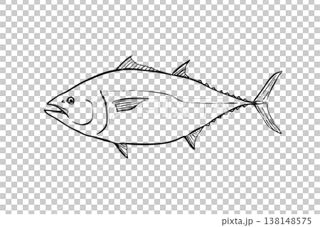 クロマグロのイラスト 筆ペン線画 魚素材 横向き 138148575