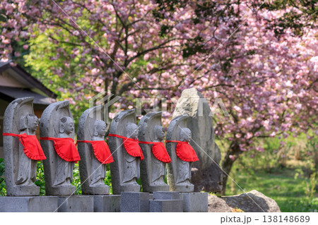 北海道伊達市、有珠善光寺の地蔵と八重桜【5月】 138148689