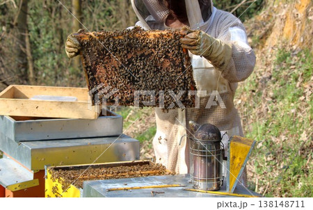 beekeeper working on an apiary. Close-up of bees - A beekeeper is removing the honeycomb frame from the hive to inspect the situation. A beekeeper at work in his apiary. beekeeper working on an apiary. Close-up of bees - A beekeeper is removing the honeycomb frame from the hive to inspect the situation. A beekeeper at work in his apiary. 138148711