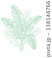 Tropical leaves vector line art illustration featuring banana and palm fronds with detailed green shading, isolated on a white background for design, botanical, and nature concepts. 138148766