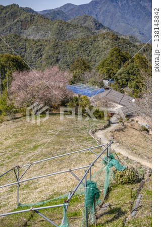 果無集落（十津川村、3月中旬） 138148842
