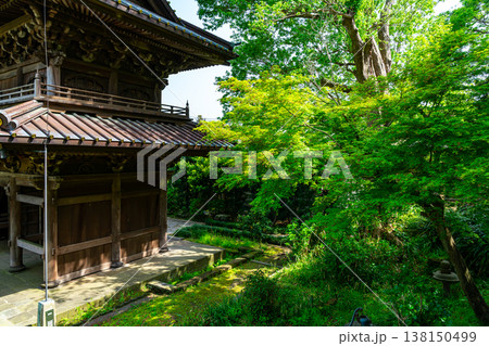 【神奈川県】豊かな自然に囲まれた鎌倉の英勝寺 【神奈川県】豊かな自然に囲まれた鎌倉の英勝寺 138150499