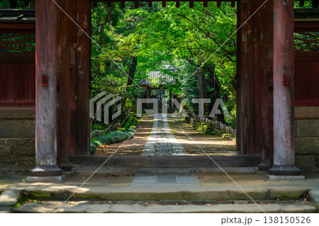 【神奈川県】爽やかな緑に囲まれた寿福寺 138150526