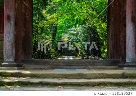 【神奈川県】爽やかな緑に囲まれた寿福寺 138150527