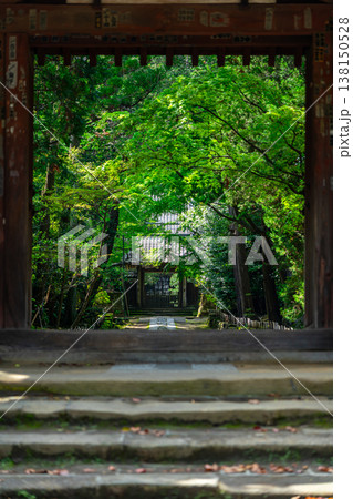 【神奈川県】爽やかな緑に囲まれた寿福寺 138150528