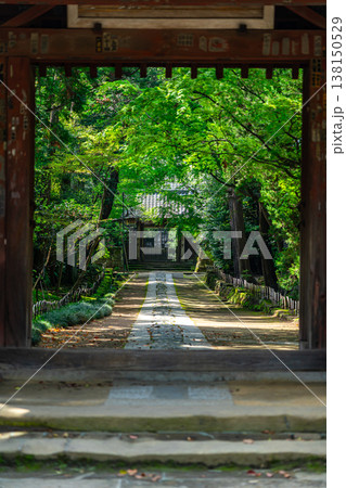 【神奈川県】爽やかな緑に囲まれた寿福寺 138150529