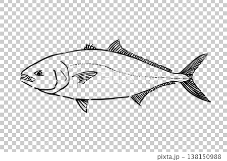 ブリのイラスト 出世魚 海水魚 ベクター 筆ペン線画 138150988