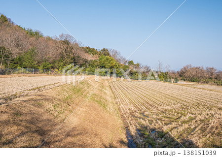 湖西地方の棚田風景　滋賀県大津市北小松 138151039