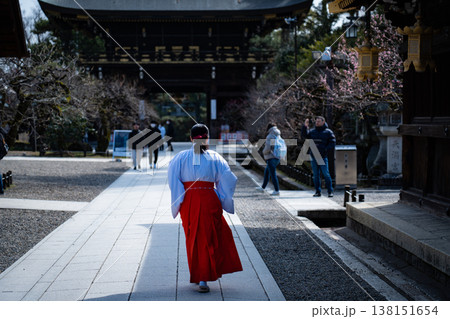 京都 北野天満宮の巫女さん004 京都 北野天満宮の巫女さん004 138151654