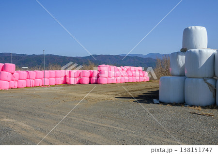 ピンク色と白色の牧草ロール【長野県】 ピンク色と白色の牧草ロール【長野県】 138151747