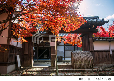 Manshuin Monzeki temple gate with red maple leaf in autumn, Kyoto Manshuin Monzeki temple gate with red maple leaf in autumn, Kyoto 138152056