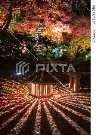 Lantern light up at autumn leaf garden in Hogonin temple, Arashiyama 138152066