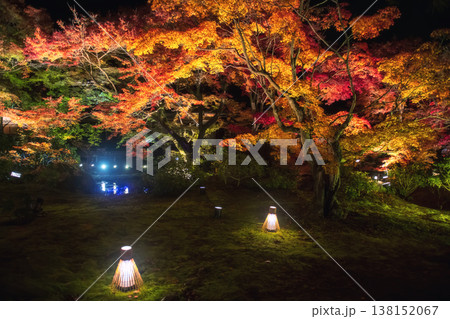 lantern light up at Autumn garden in Hogonin temple, Arashiyama 138152067
