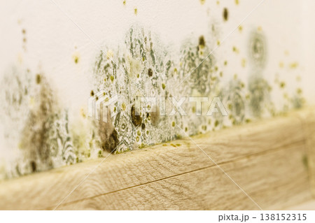 Mould and fungus growth on wall Mould and fungus growth on wall 138152315