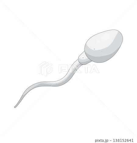 Illustration of Sperm  138152641