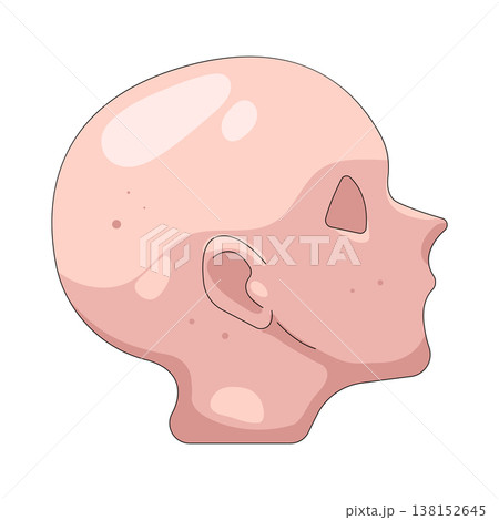 Illustration of human head Illustration of human head 138152645