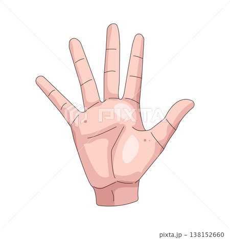 Illustration of human palm 138152660