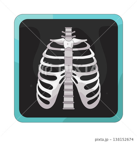Illustration of human ribのイラスト素材 [138152674] - PIXTA
