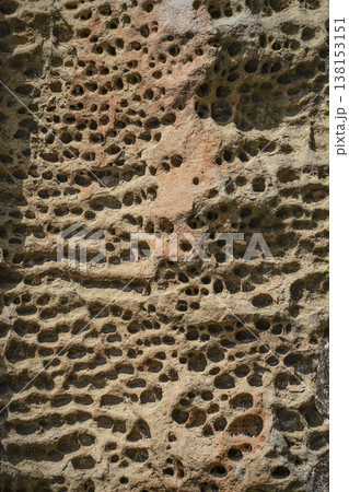 高池の虫喰岩（国指定の天然記念物） 138153151