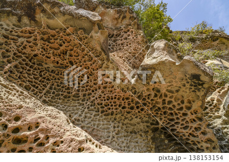 高池の虫喰岩（国指定の天然記念物） 138153154