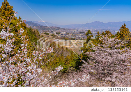 (山梨県)桜満開の大法師公園から、遥か八ヶ岳連峰を望む (山梨県)桜満開の大法師公園から、遥か八ヶ岳連峰を望む 138153161