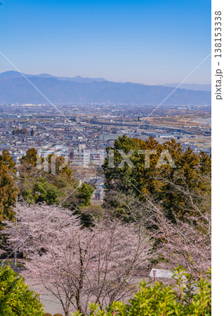 (山梨県)大法師公園桜祭り 満開の桜 (山梨県)大法師公園桜祭り 満開の桜 138153338