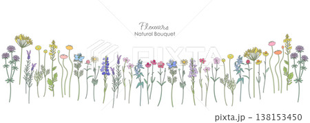 いろいろな草花のナチュラルなイラスト いろいろな草花のナチュラルなイラスト 138153450