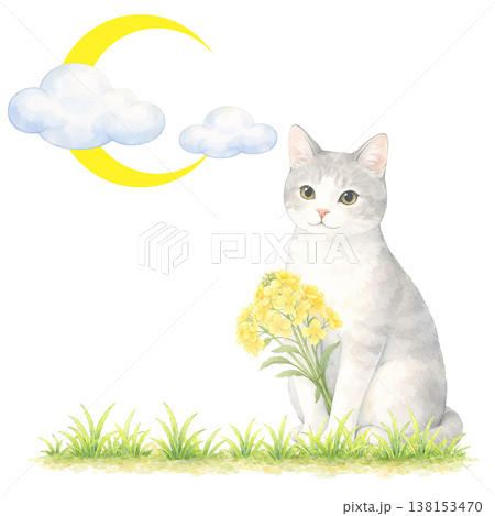 猫と月と雲のシンプル素材 ナチュラルでかわいい夜イメージ 白背景 138153470