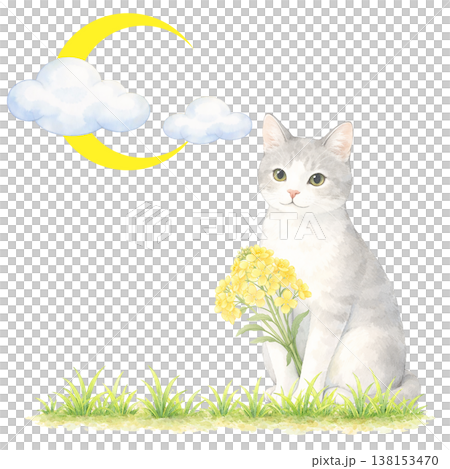 猫と月と雲のシンプル素材 ナチュラルでかわいい夜イメージ 白背景 138153470
