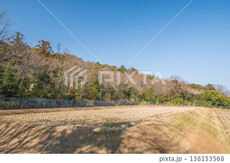 湖西地方の棚田風景　滋賀県大津市北小松 138153568