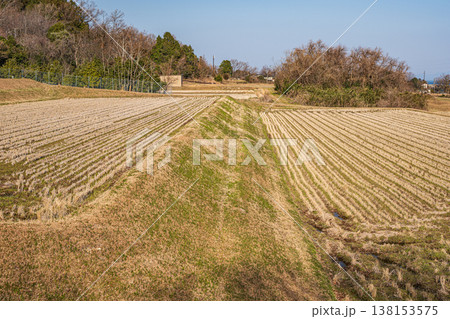 湖西地方の棚田風景　滋賀県大津市北小松 138153575
