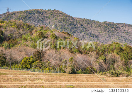 湖西地方の棚田風景 滋賀県大津市北小松 湖西地方の棚田風景 滋賀県大津市北小松 138153586