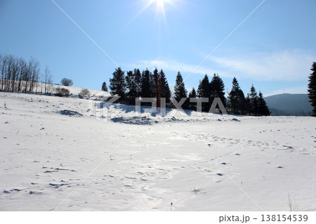 Winter landscape with snowy fir trees Winter landscape with snowy fir trees 138154539