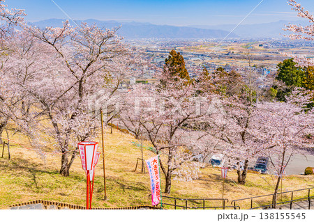 （山梨県）大法師公園　満開の桜　桜祭り 138155545