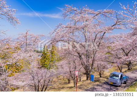 (山梨県)大法師公園 満開の桜 桜祭り (山梨県)大法師公園 満開の桜 桜祭り 138155551