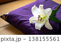 紫の座布団に供えられた白い百合の花 厳かな法要のイメージ(座布団は畳の上に置かれている)	 138155561
