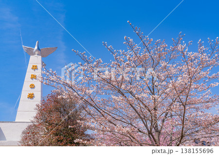 (山梨県)大法師公園・平和の塔 満開の桜 (山梨県)大法師公園・平和の塔 満開の桜 138155696
