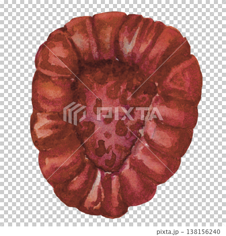 Raspberry Watercolor Fresh Red Berry Illustration Isolated 138156240