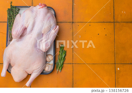 Raw whole duck with garlic thyme and rosemary in pan on orange tile background ideal for gourmet poultry cooking and food stock images. Raw whole duck with garlic thyme and rosemary in pan on orange tile background ideal for gourmet poultry cooking and food stock images. 138156726