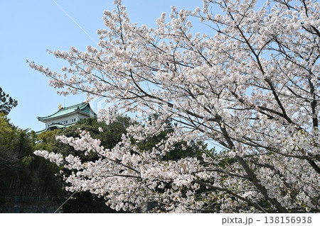 名古屋城と桜 138156938