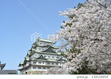 名古屋城と桜 名古屋城と桜 138156950