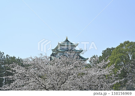 名古屋城と桜 138156969