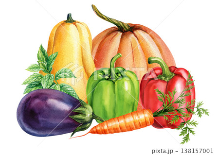 Pumpkins eggplant bell peppers carrot and mint watercolor vegetable arrangement isolated on light background 138157001