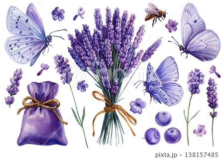 Lavender butterfly watercolor clipart set with bouquet sachet flowers bee and berries isolated on light background Lavender butterfly watercolor clipart set with bouquet sachet flowers bee and berries isolated on light background 138157485