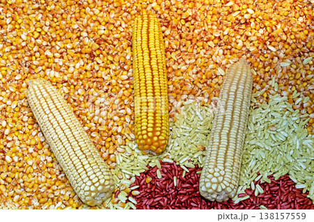 Maize corn raw Maize corn raw 138157559
