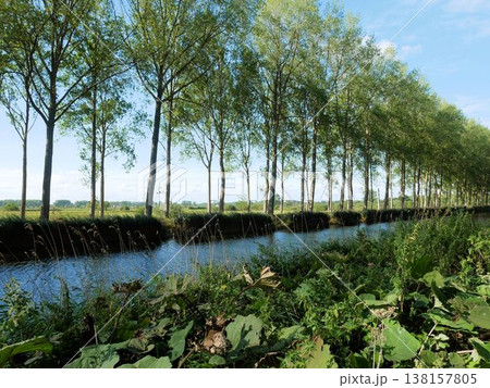 ブルージュとダンメを結ぶ水路と並木　（ベルギー） 138157805