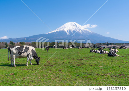 富士山 朝霧高原 富士山 朝霧高原 138157810