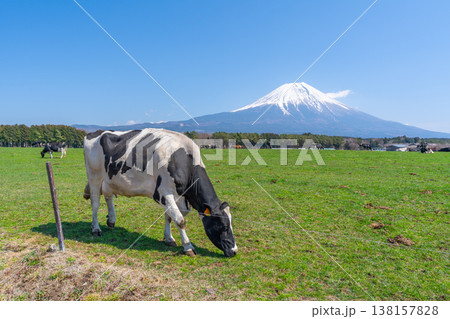 富士山 朝霧高原 富士山 朝霧高原 138157828